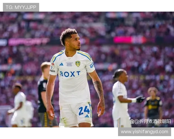 以利兹联足球俱乐部为核心探讨英格兰足球文化与历史传承