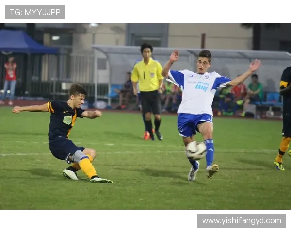 和睦法兰克福俱乐部：从传统到现代，足球文化的传承与创新