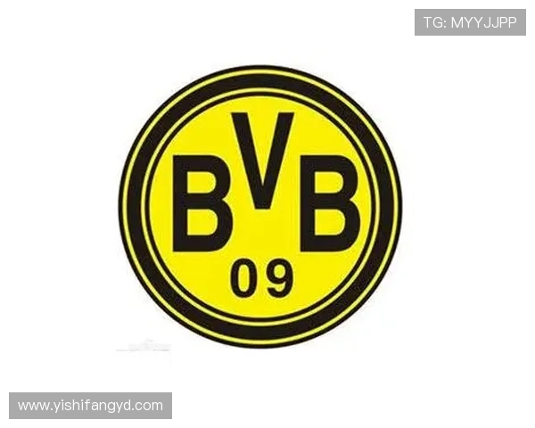 普鲁士多特蒙德足球俱乐部的辉煌历程与未来发展展望