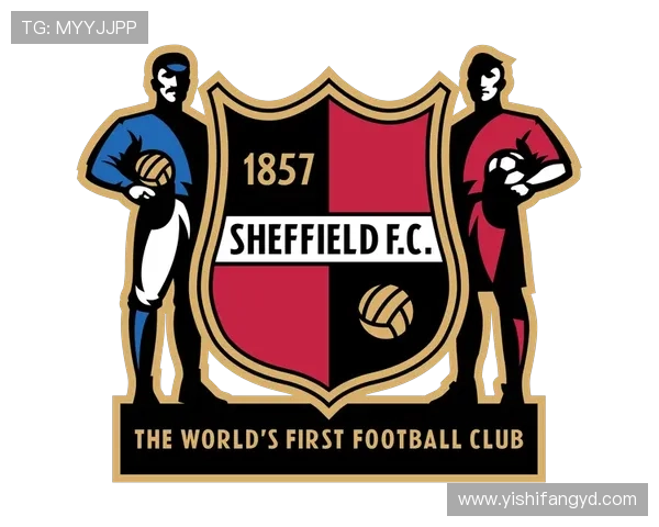 谢菲尔德星期三俱乐部百年荣光与英伦足球精神的传承之路